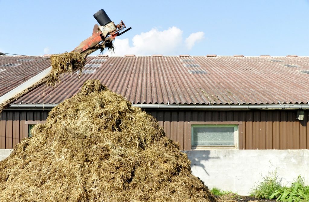 Braucht man einen Windelmülleimer auf netzperlentaucher