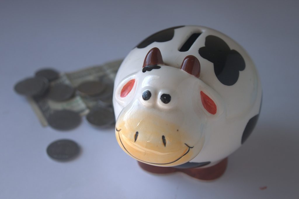 Ich brauche Geld auf netzperlentaucher.de