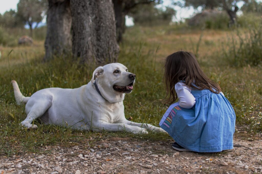 Wie man den perfekten Hund findet: Züchter, Tierheim oder Auslandstierschutz? auf netzperlenztaucher.de